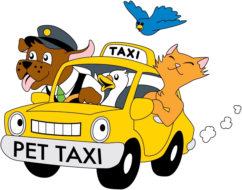 Pet Taxi Hobart   Pet Transport Hobart