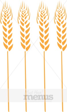 Png Jpg Word Eps Tweet Wheat Clip Art Golden Heads Of Wheat Top Stiff