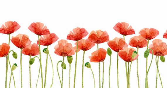     Poppies Image Clip Art Clipart Watercolors Flower Clipart Poppies
