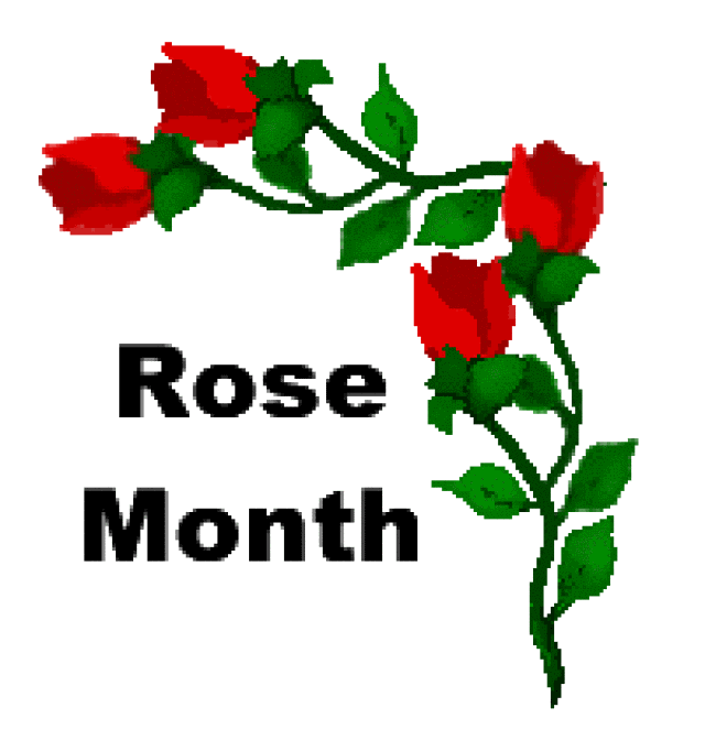 Rose Titles Rose Day Titles Rose Month Titles Roses And Sayings