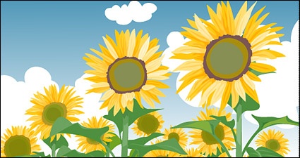 Sunflower Summer Blue Sky And White Clouds Clip Arts Free Clip Art    
