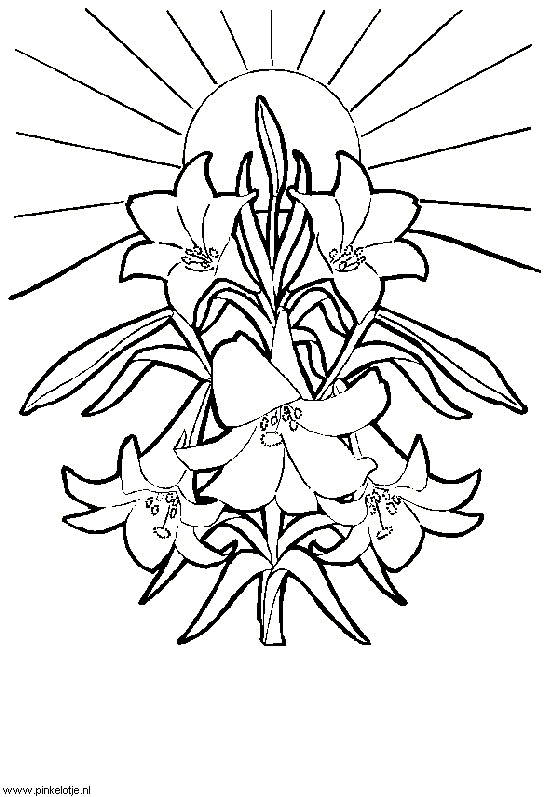 Coloring Pages   Funeral
