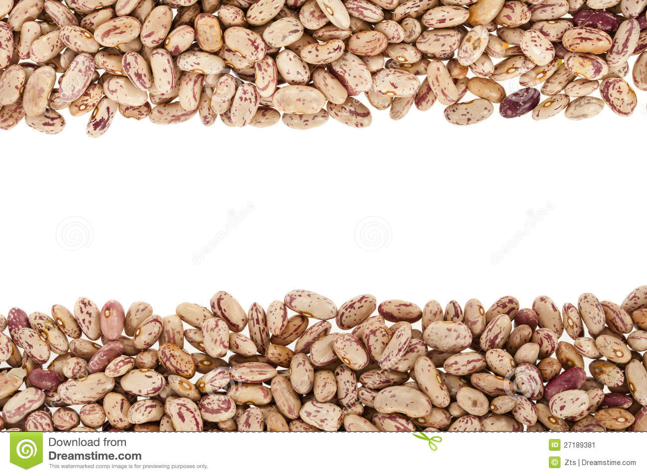 Pinto Beans Or Mottled Beans Stock Image   Image  27189381