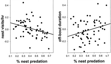 Scatter Plot Of Nest Predation Versus Unstandardizedresiduals  Partial