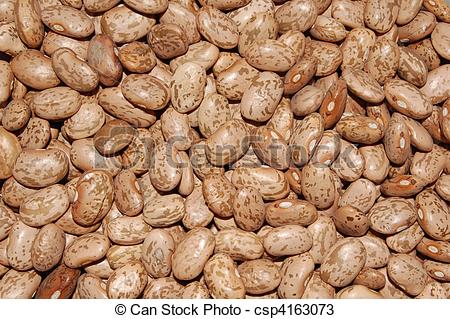 Stock Photo   Background Texture Of Pinto Beans   Stock Image Images    