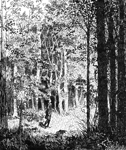 Clipart Forest Black And White Forest Glade