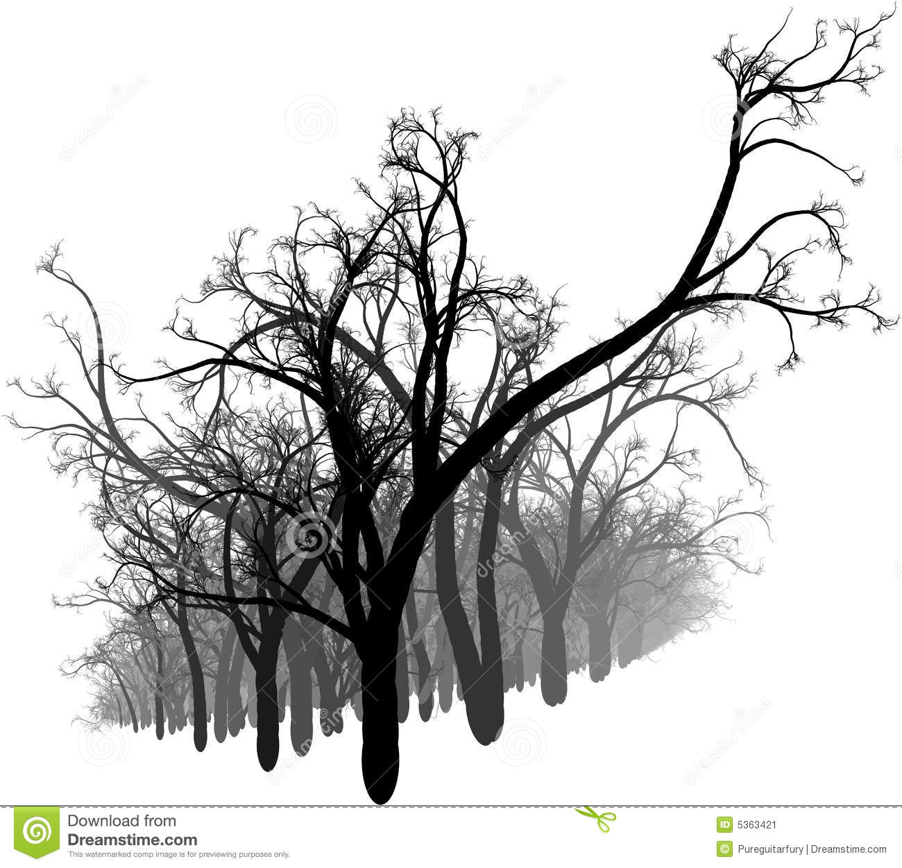 Composition Of A Black And White Forest In The Middle Of Winter