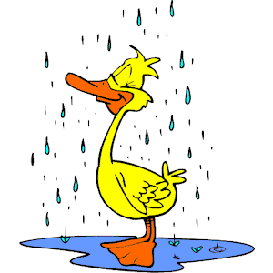 Duck In Rain Clipart Duck In Rain Clip Art   Hd
