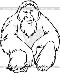 Orangutan Outline Orangutan   Vector Clipart