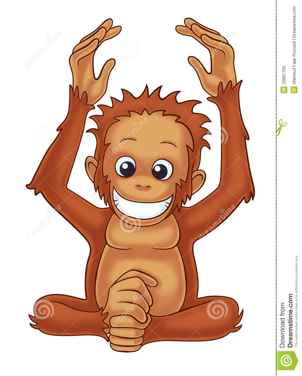 Orangutan Royalty Free Stock Photo   Image  20867705