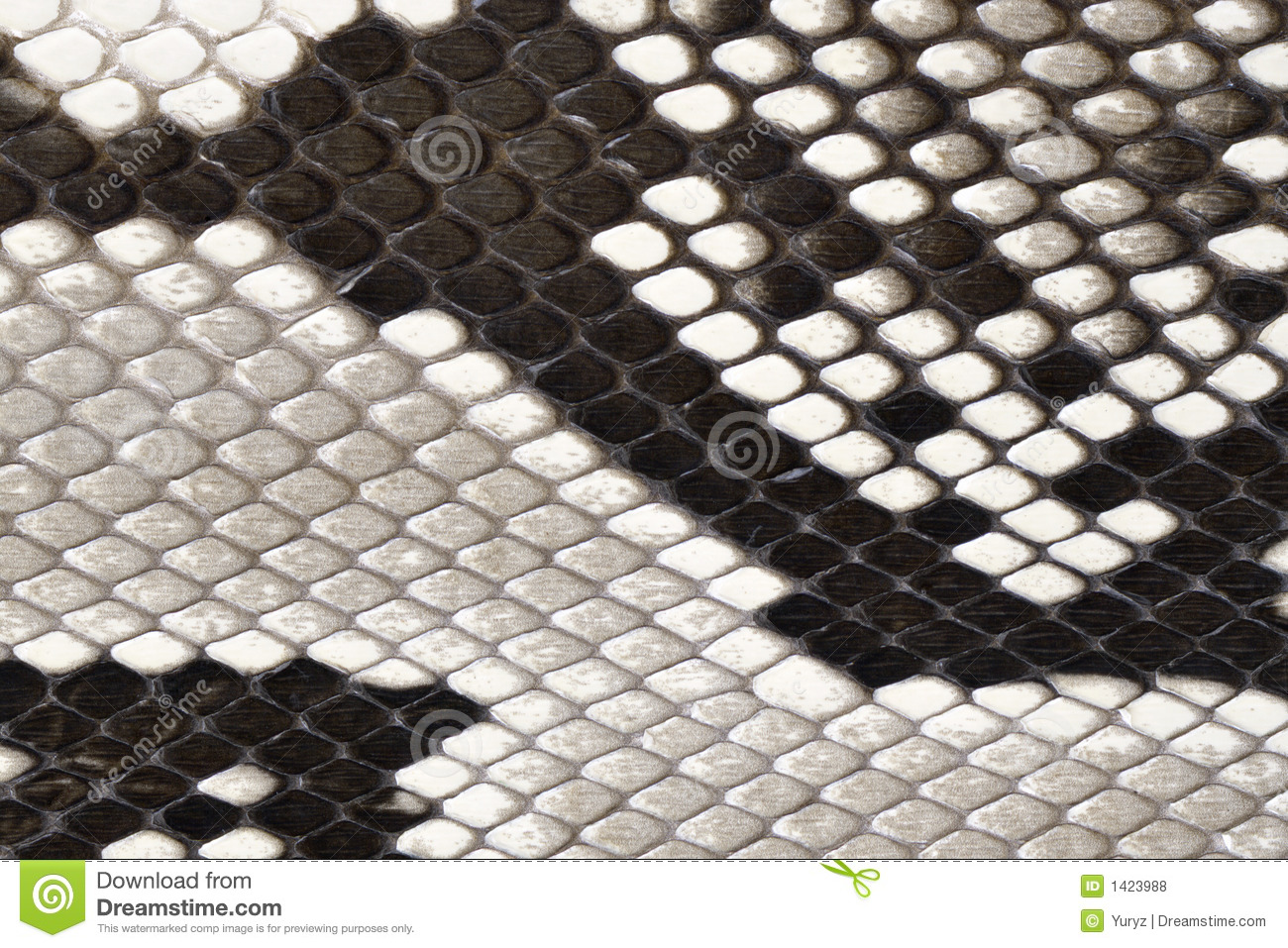Snake Skin Leather Material Royalty Free Stock Photos   Image  1423988