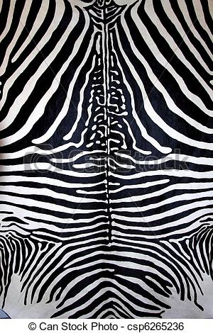 Stock Image Of Animal Zebra Skin Black And White Fur Stripes Leather