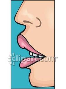 The Human Nose And Mouth   Royalty Free Clipart Picture