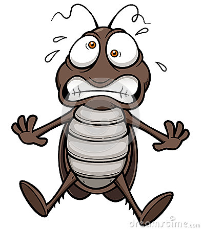 Cartoon Cockroach Stock Photo   Image  34818790