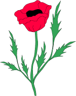 Clip Art   Remembrance Day Poppy Memorial Day Buddy Poppy Flower