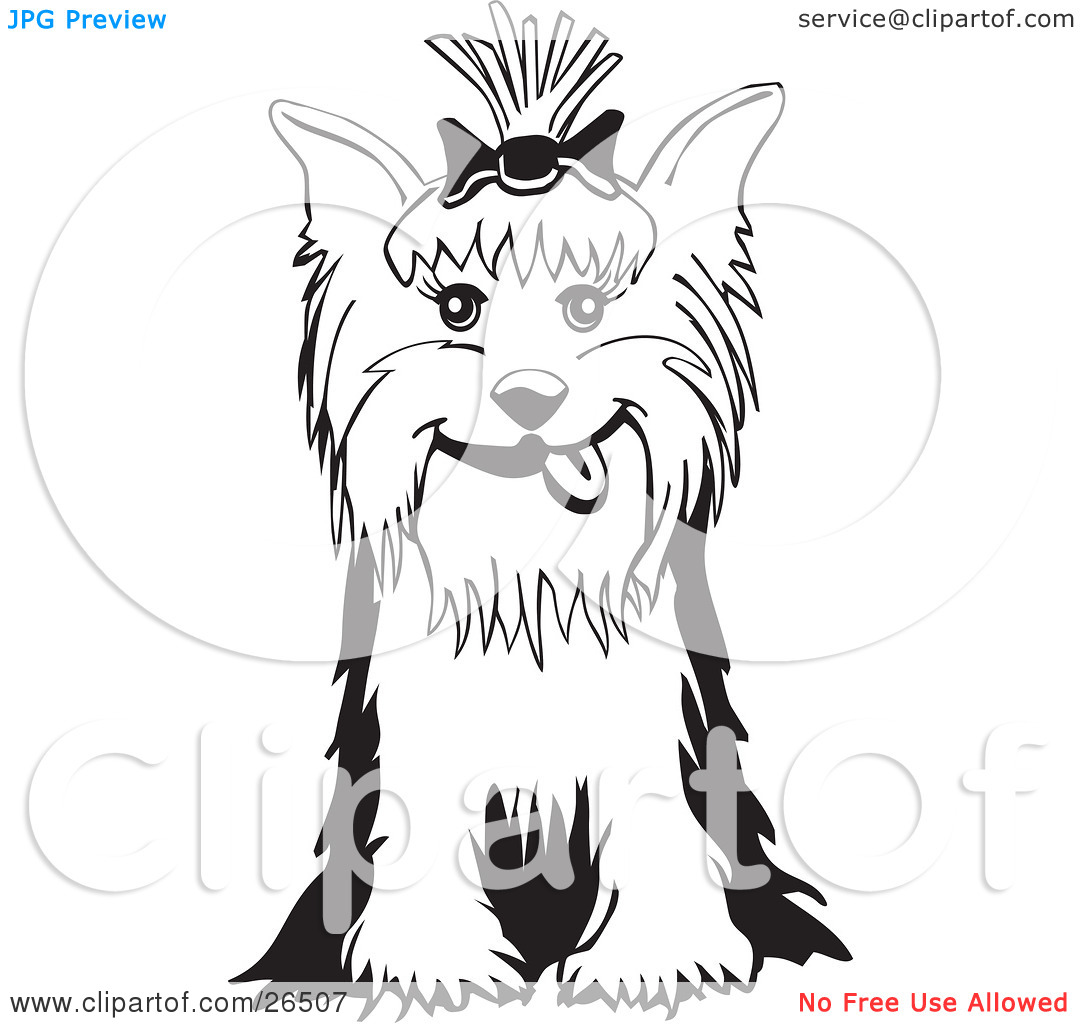 Clipart Illustration Of A Friendly Yorkshire Terrier Dog With A Bow In
