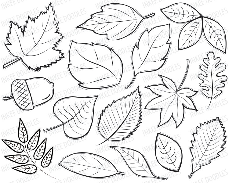 Fall Leaves Outline Clip Art Fall Leaves Outline Clip Art