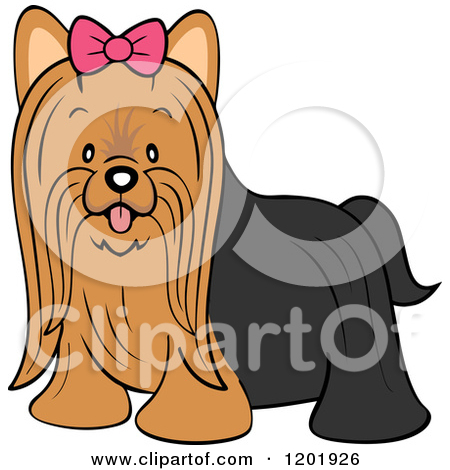 Free  Rf  Yorkshire Terrier Clipart Illustrations Vector Graphics  1
