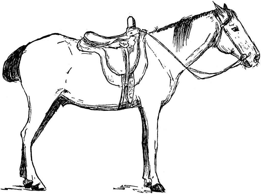 Horse Saddle Clip Art