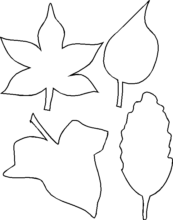Leaf Cartoon Outline Leaf Outline