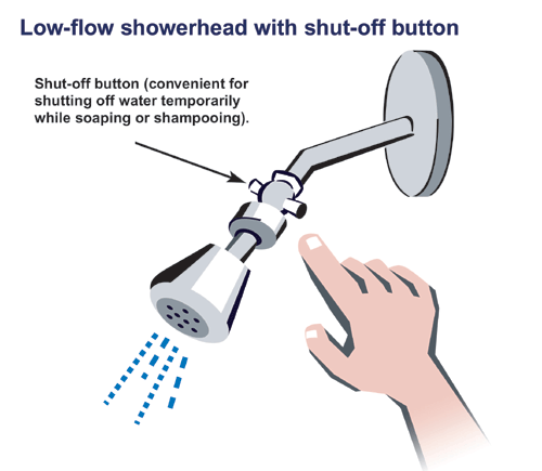 Low Flow Showerhead Uses About Half The Water Of An Older Showerhead