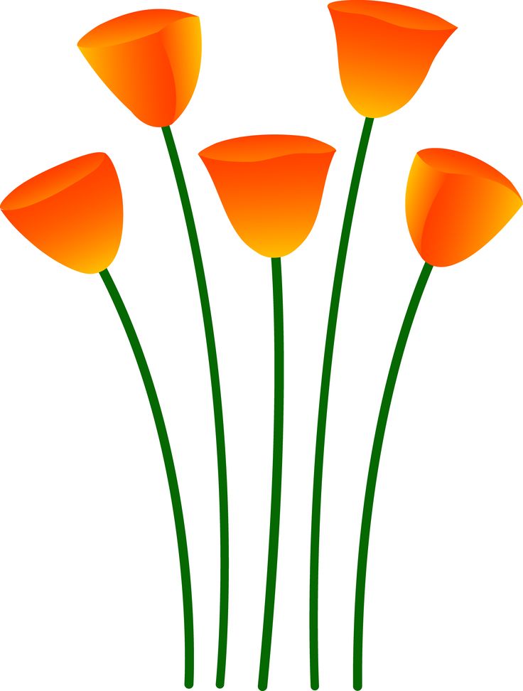 Orange Poppy Flowers Free Clip Art   Orange   Pinterest