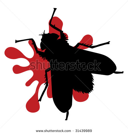 Squashed Fly Stock Vector Illustration 31439989   Shutterstock
