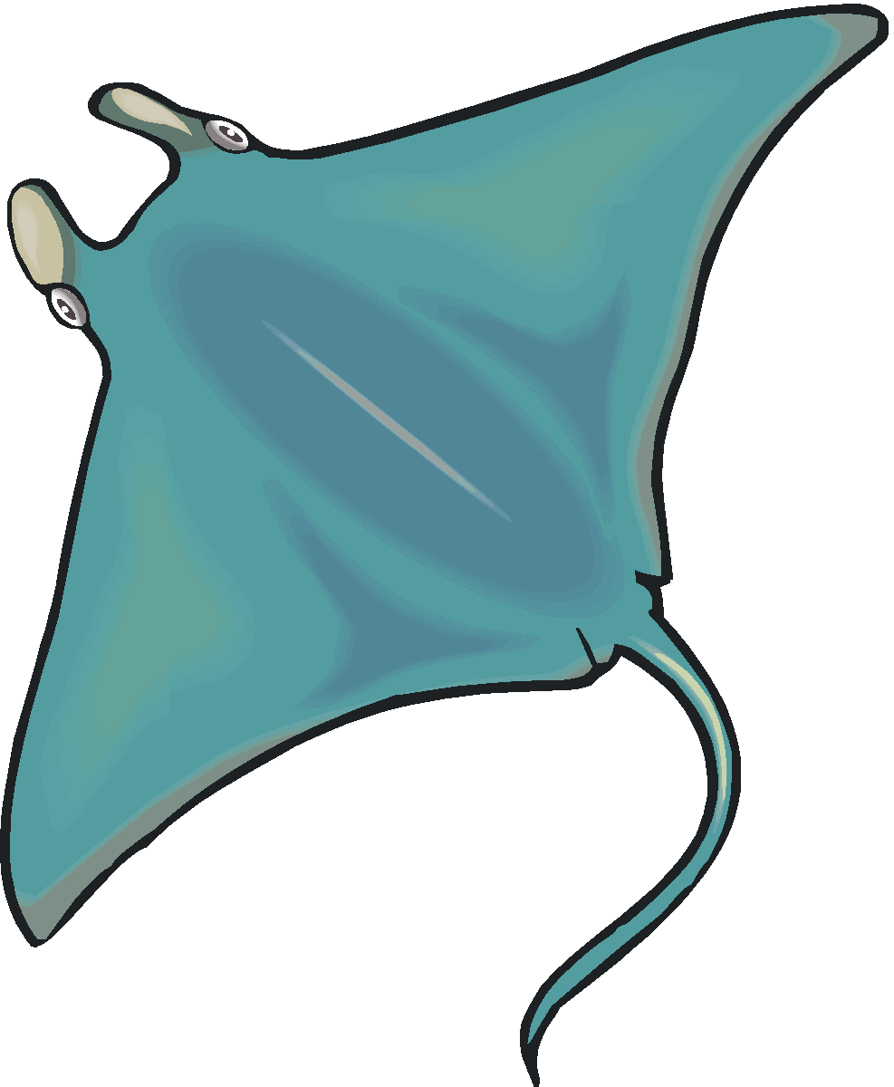 Sting Ray Clip Art   Clipart Best