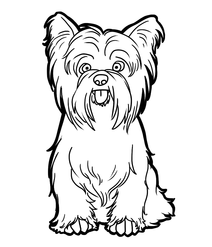 Yorkshire Terrier By Candybeelinearts