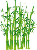 Bamboo Tree Clip Art And Stock Illustrations  711 Bamboo Tree Eps