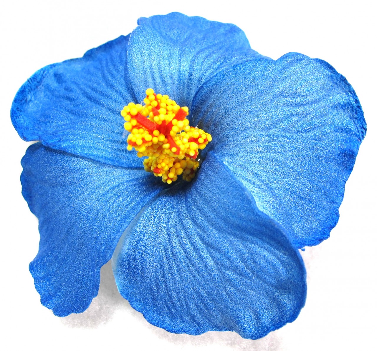 Blue Hawaiian Flowers Clip Art Blue Hawaiian Flowers Clip