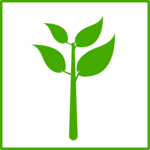 Green Plant Icon Clip Art At Clker Com   Vector Clip Art Online