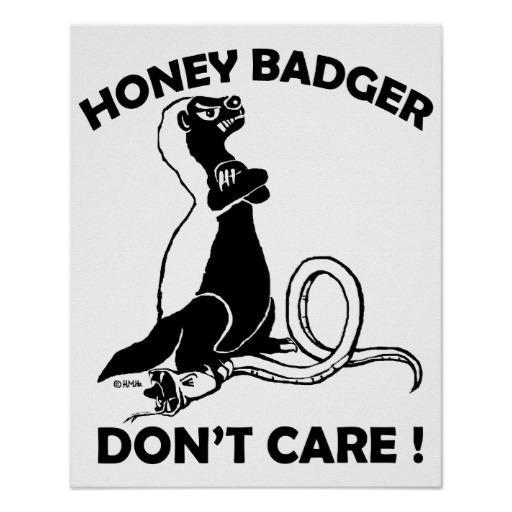 Honey Badger Don T Care Print   Zazzle