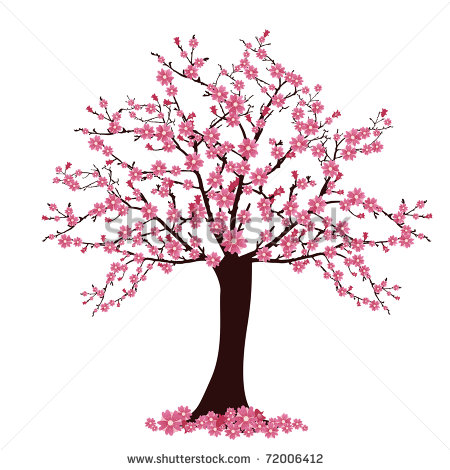 Tree With Cherry Blossoms   Vector   72006412   Shutterstock