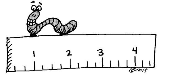 Worm On Ruler