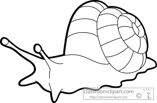 Animals   Mollusks Giant Land Snail Outline   Classroom Clipart