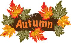 Colorful Clip Art For The Fall Season  Autumn Leaves Banner More
