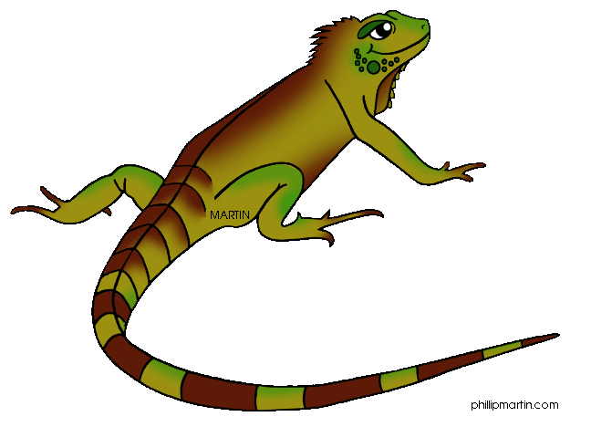 Iguana Clipart Black And White   Clipart Panda   Free Clipart Images