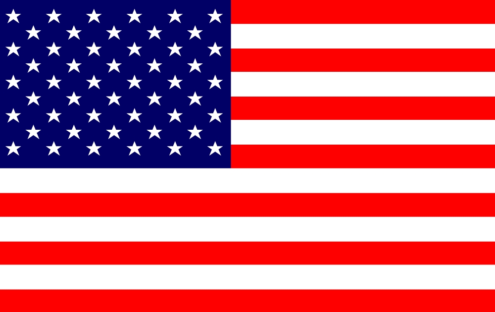 Usa Flag 50 States 1960