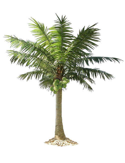 Artificial Palm Tree And Cocotree Like Real Palm Tree