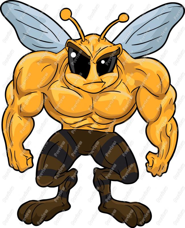 Bee Clip Art   Bee Mascot   Cartoon