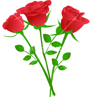 Bouquet Of Three Red Rose Vector Art   Download Bouquet Vectors