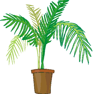 Clip Art   Palm Tree Clip Art