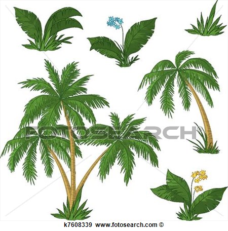 Clip Art   Palm Trees Flowers And Grass  Fotosearch   Search Clipart