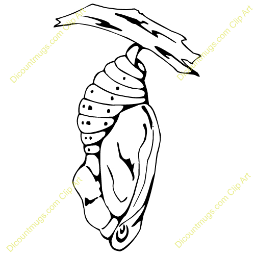 Cocoon Clipart Black And White Cocoon