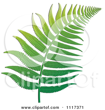 Royalty Free  Rf  Fern Clipart Illustrations Vector Graphics  1