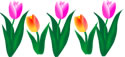 Border Graphic Printable Spring Season Garden Theme Divider Clipart