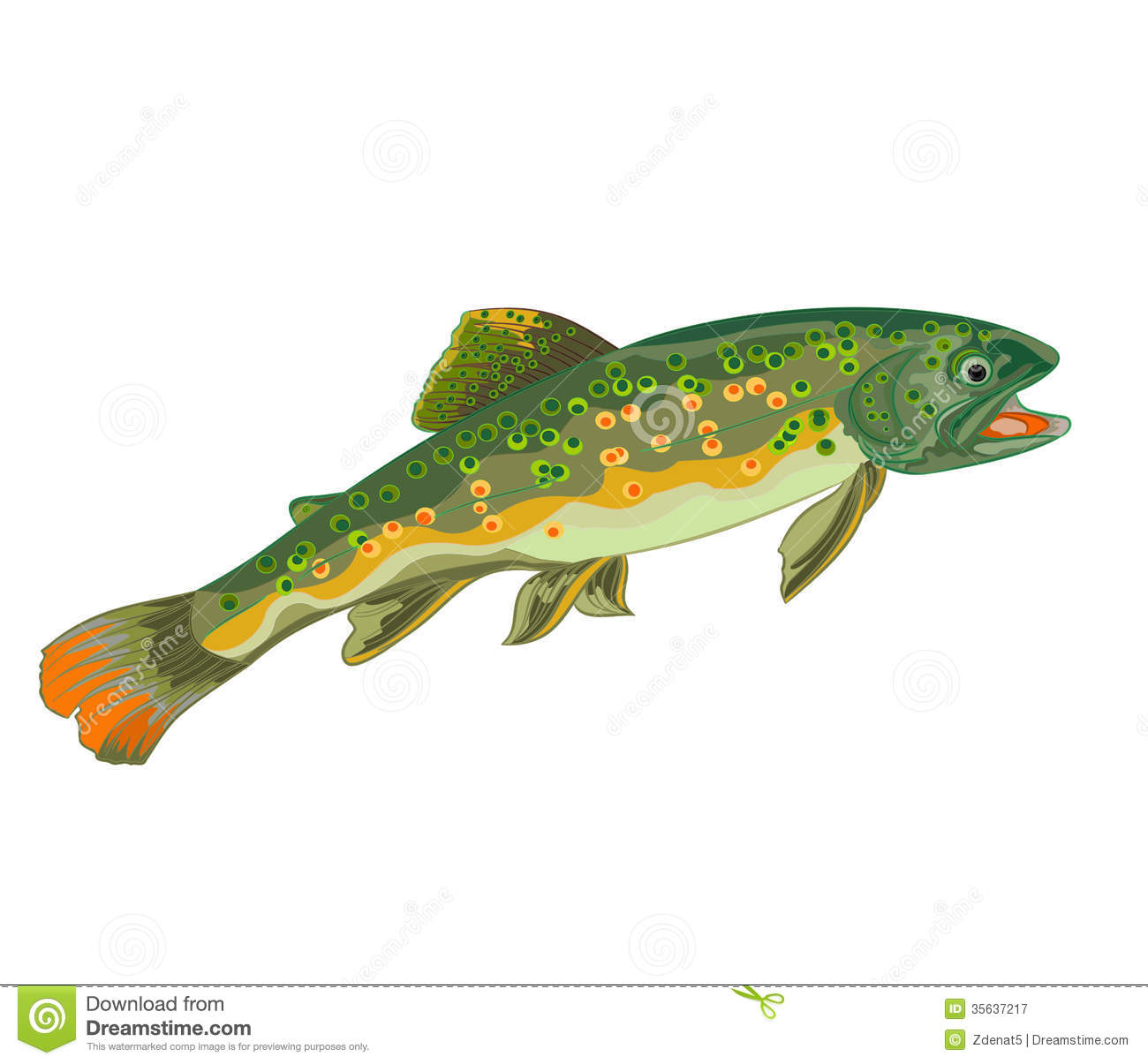 Brook Trout Fish Royalty Free Stock Photography   Image  35637217