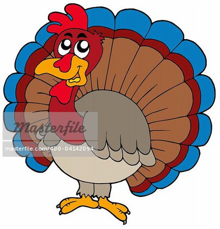 Cartoon Turkey On White Background   Vector Illustration  Stock Photo