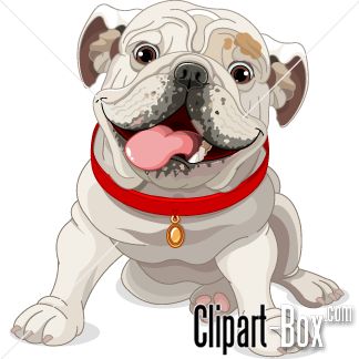 Clipart Bulldog